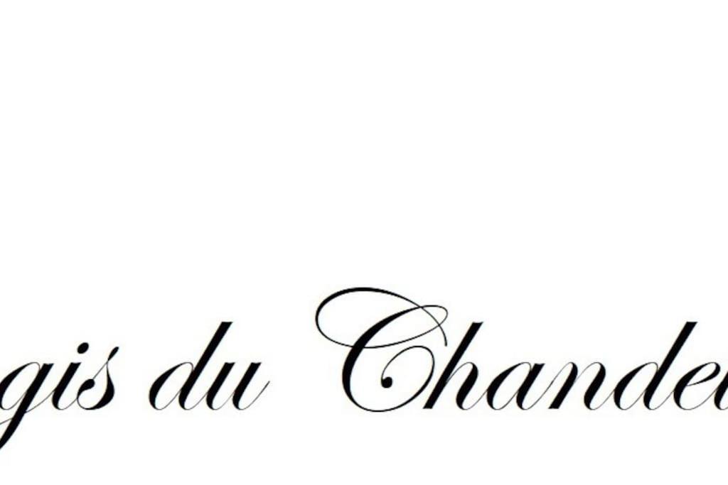 Logis Du Chandelier Le Puy-en-Velay Exterior photo